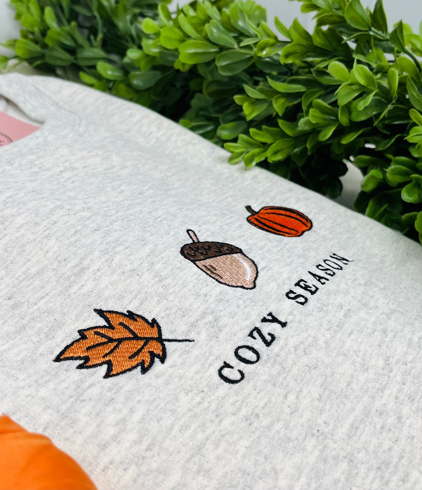 COZY SEASON Embroidered T-shirt or Sweatshirt (color icons)