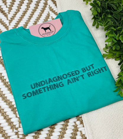 UNDIAGNOSED BUT SOMETHING AIN'T RIGHT Custom Embroidered T-shirt or Sweatshirt