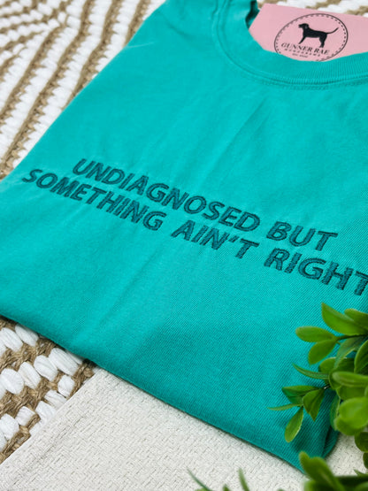 UNDIAGNOSED BUT SOMETHING AIN'T RIGHT Custom Embroidered T-shirt or Sweatshirt
